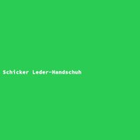 Schicker Leder-Handschuh